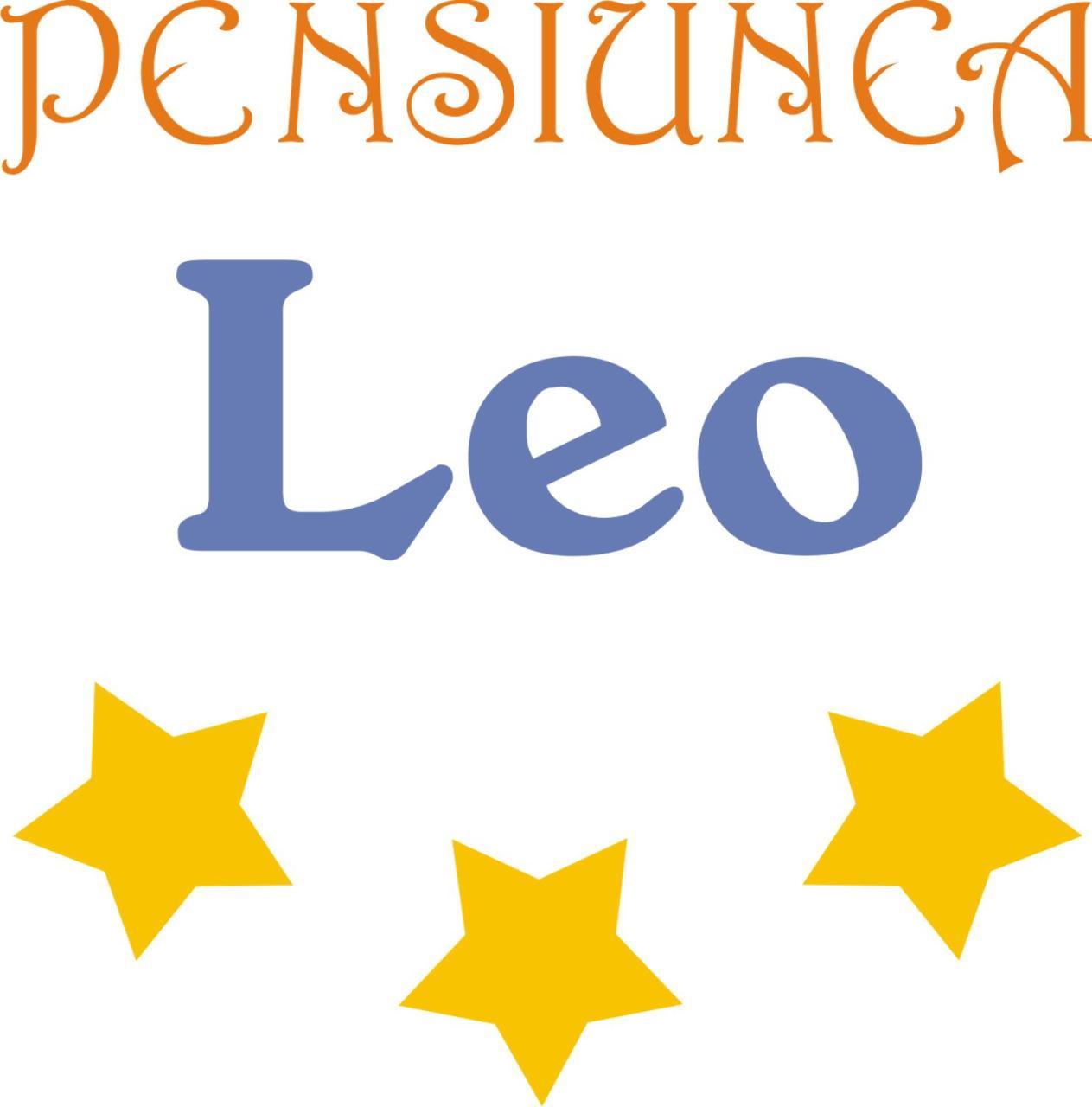 Pensiunea Leo Braszów Zewnętrze zdjęcie
